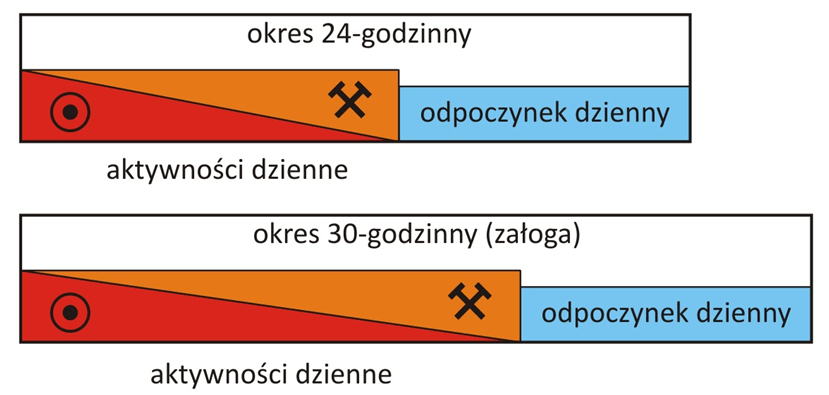 cykl dzienny w załodze